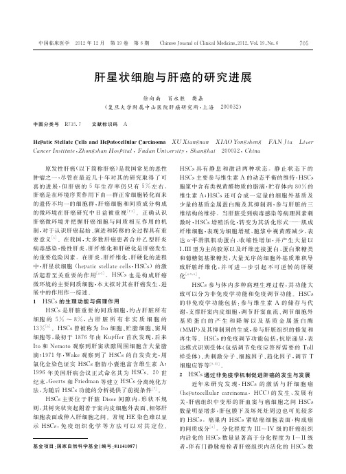 肝星状细胞与肝癌的研究进展_徐向南