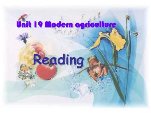 高一英语课件：下学期reading of unit 19