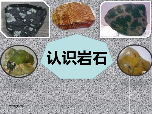 小学三年级下册科学《认识岩石》PPT优秀课件