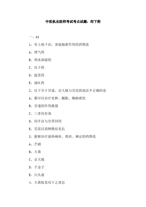 中医执业医师考试考点试题：泻下药