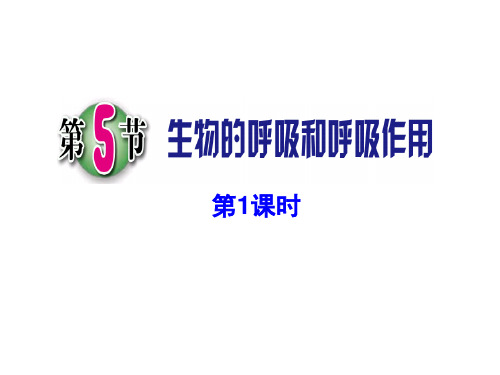 初中科学浙教版八年级下册 第5节 生物的呼吸和呼吸作用 (第1课时)(共26张PPT)
