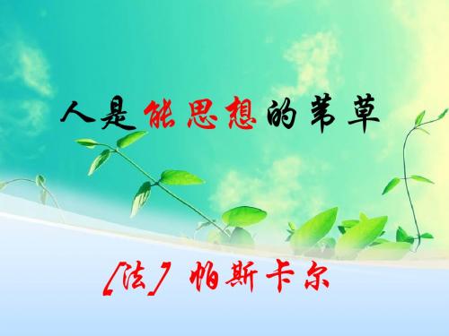 人教版语文必修四《人是能思想的苇草》