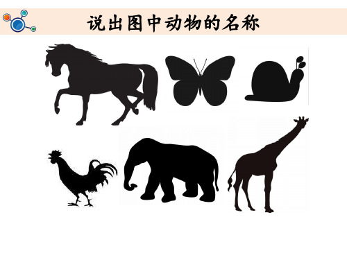 教科版二年级下册科学 2-1.观察我们的身体-教学课件