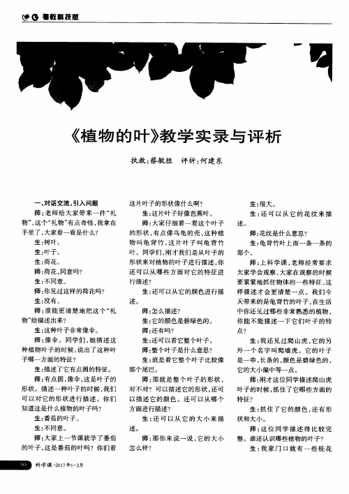 《植物的叶》教学实录与评析