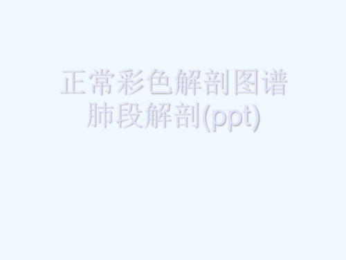 正常彩色解剖图谱肺段解剖(ppt)
