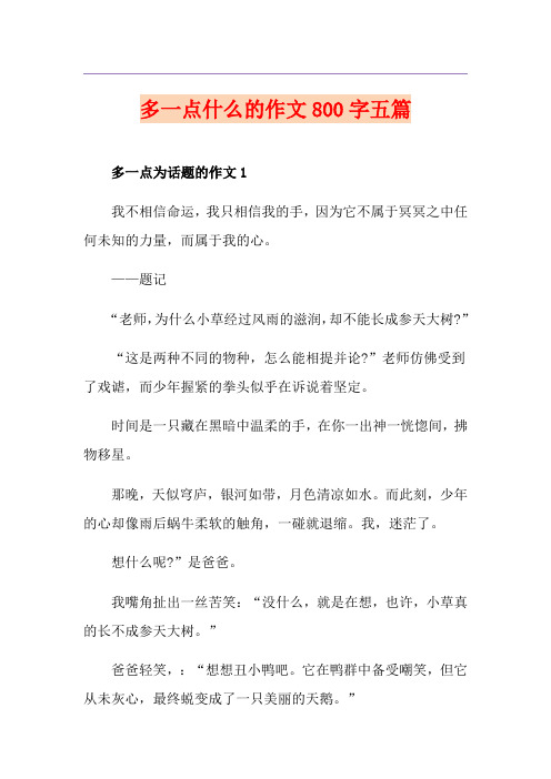多一点什么的作文800字五篇