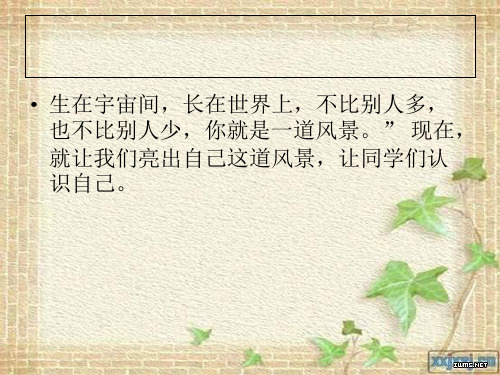 《这就是我》作文教案PPT课件