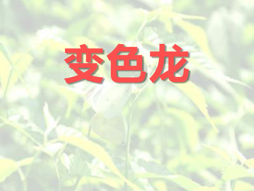 《变色龙》ppt课件