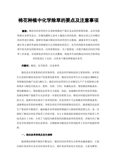 棉花种植中化学除草的要点及注意事项