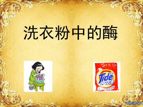 洗衣粉中的酶