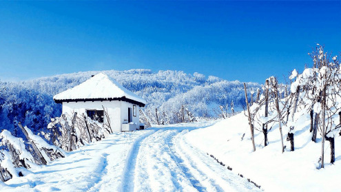完整版部编版二年级语文上册20雪孩子课件