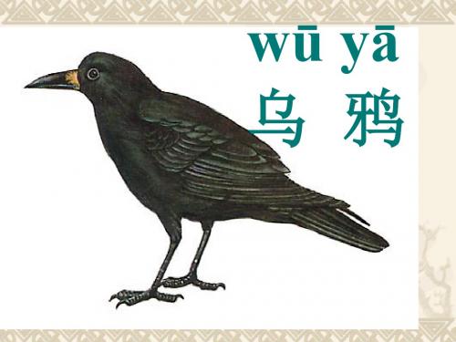 人教版小学语文二年级下册《乌鸦喝水》课件