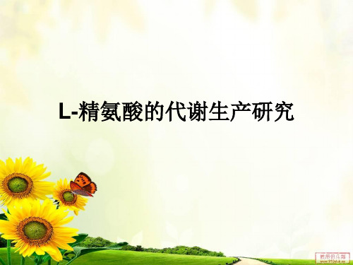 L-精氨酸的代谢生产研究