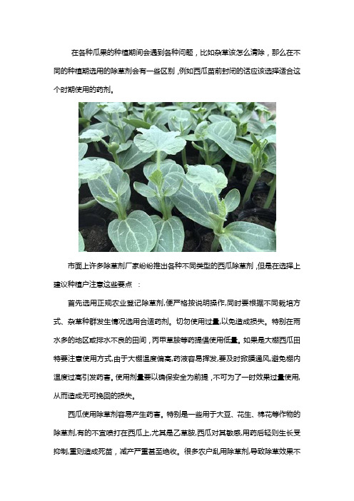 西瓜苗前封闭除草剂