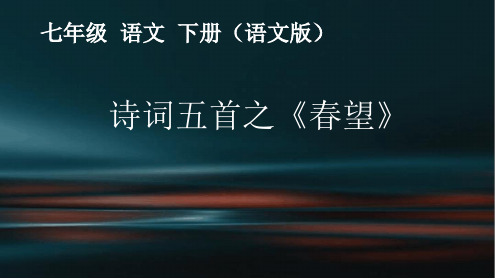 春望课件(完美版)最新PPT课件[文字可编辑]