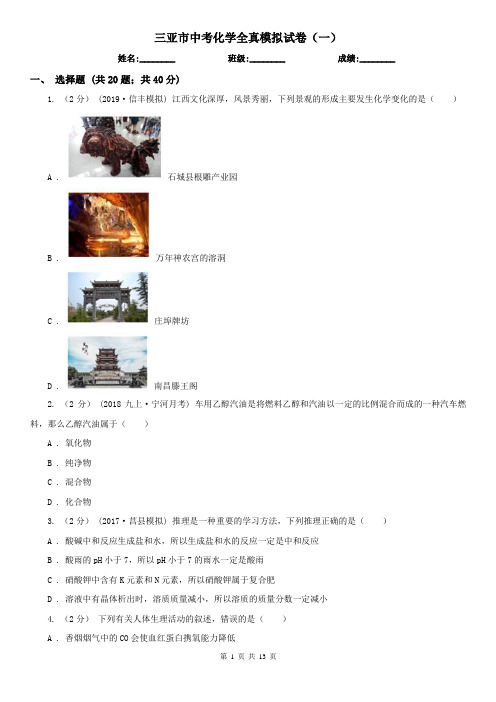三亚市中考化学全真模拟试卷(一)  