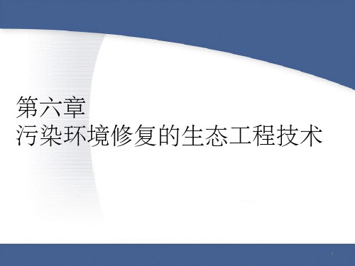 生态修复工程PPT课件