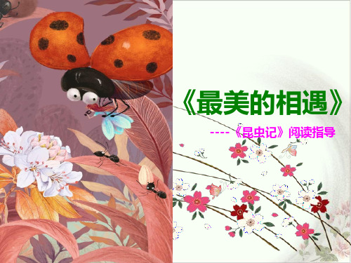 部编八年级上册语文第五名著导读《《昆虫记》ppt科普作品的阅读》ppt