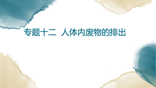 初中生物总复习 专题12人体内废物的排出