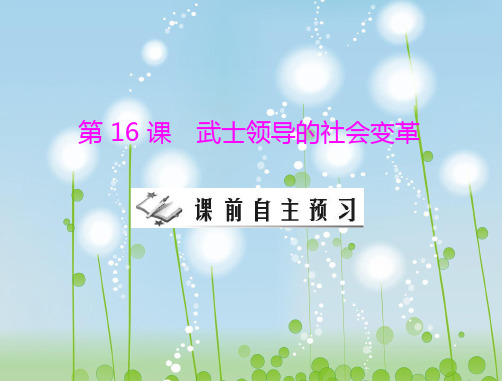 武士领导的社会变革PPT教学课件