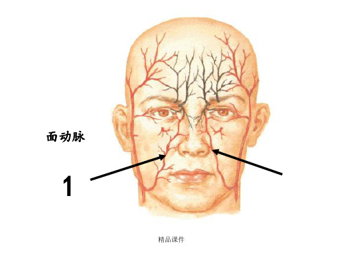 局解实验考核图片提纲(100题)ppt课件