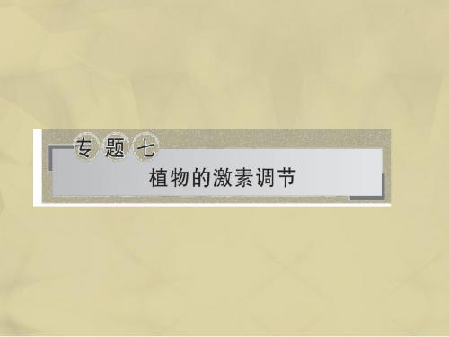 2017年高考生物二轮复习专题七植物的激素调节课件