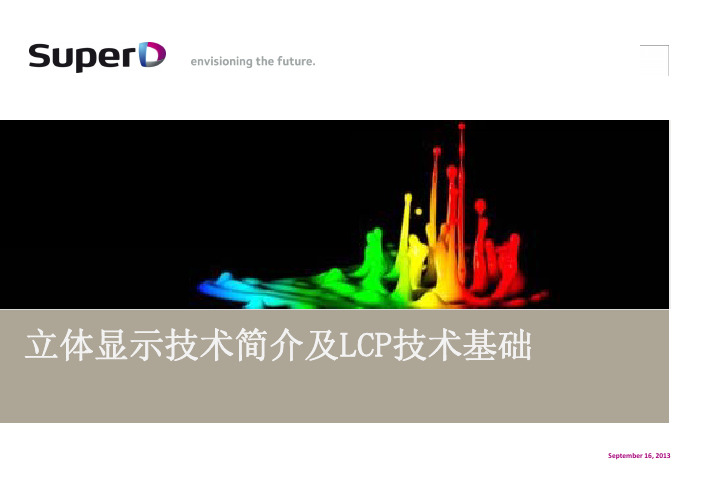 20.立体显示技术简介及LCP技术基础-guo