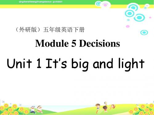 外研版小学五年级英语下册《Module5unit1 it's big and light》PPT教学课件 (11)