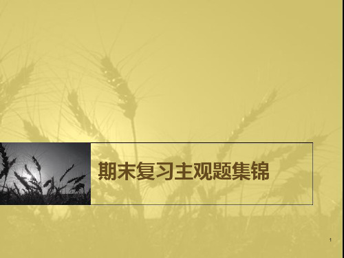 期末复习主观题集锦PPT课件