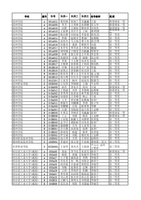 2013数学建模山东赛区省级获奖名单