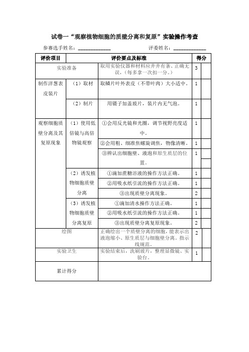 实验打分表