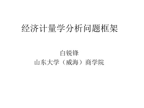 计量经济学分析框架