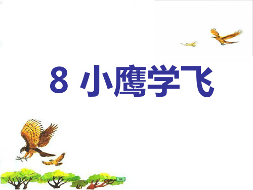 苏教版二年级语文上册8小鹰学飞课件 优质课件