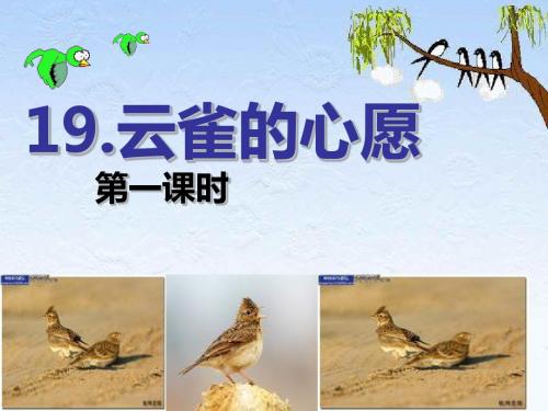 19.云雀的心愿