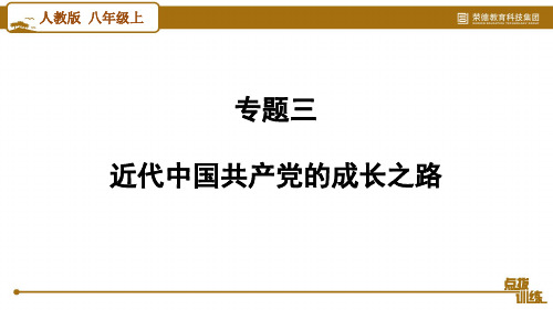 人教版八年级历史上册-复习资料-专题三