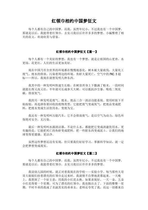 红领巾相约中国梦征文