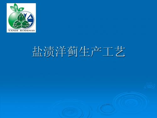 洋蓟工艺(幻灯)