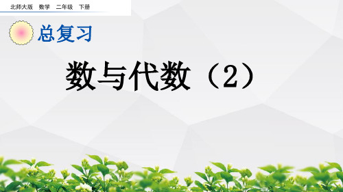 北师大版数学二年级下册课件：总复习.2 数与代数(2)