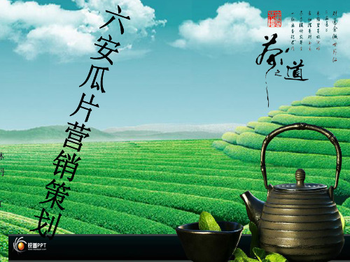 六安瓜片之营销策划