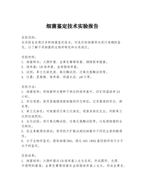 细菌鉴定技术实验报告