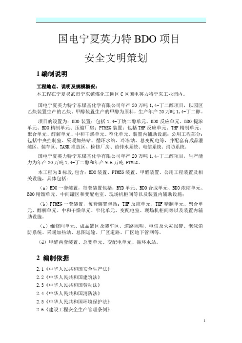 国电宁夏英力特BDO项目策划方案