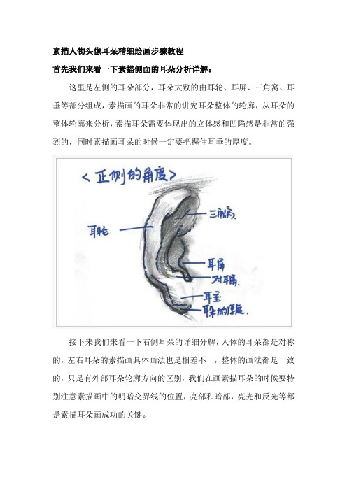 素描人物头像耳朵精细绘画步骤教程