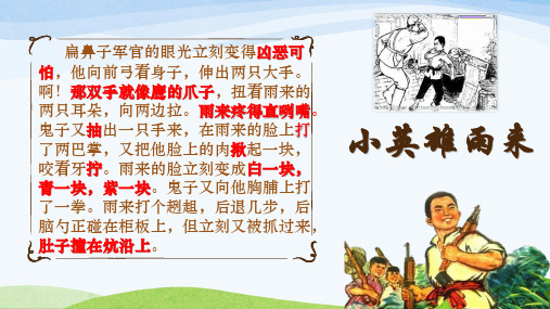 小英雄雨来(小学生作业)
