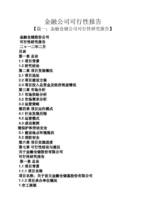 工作报告之金融公司可行性报告