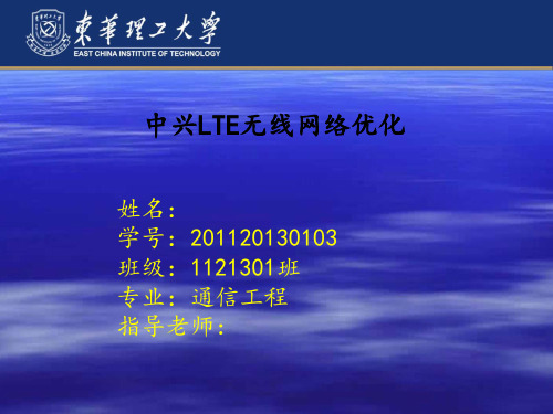 TD-LTE无线网络优化报告资料