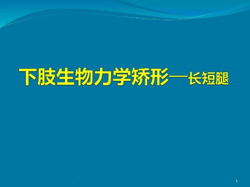 下肢生物力学足部矫形-PPT课件