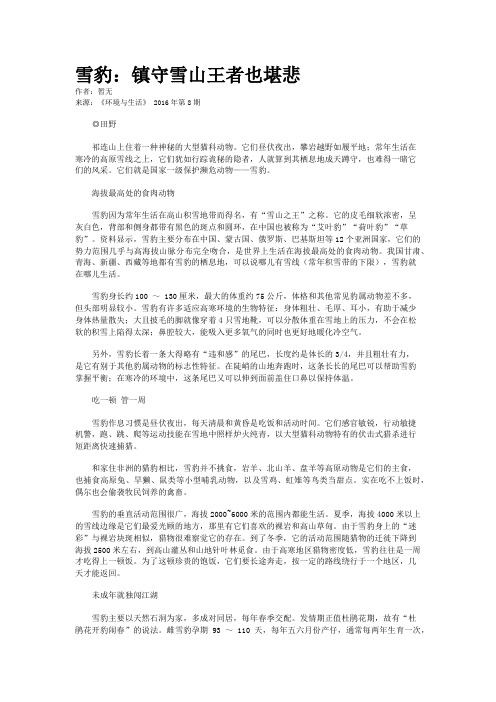 雪豹：镇守雪山王者也堪悲