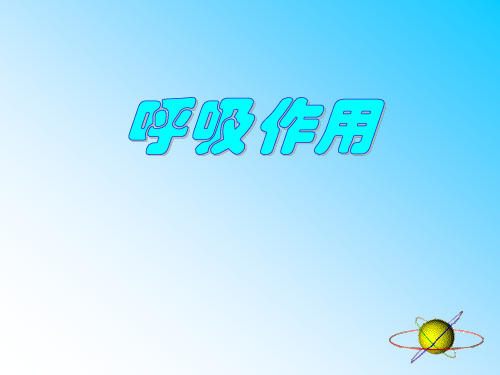 北师大版七年级生物上册《呼吸作用》PPT课件(2篇)