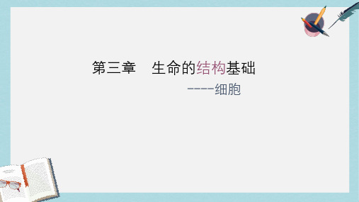 沪科版高中生命科学第一册第三章《生命的结构基础》ppt课件2
