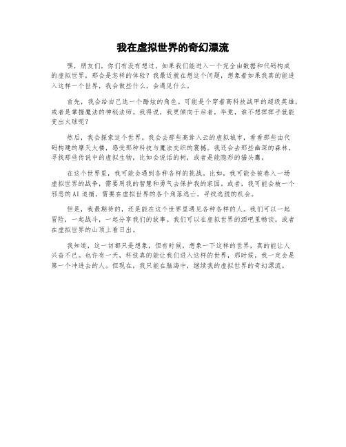 我对虚拟世界的想象